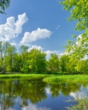 Image: River, summer, landscape, water, reflection, trees, clouds