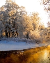 Картинка: Деревья, ветки, снег, иней, река, закат, небо