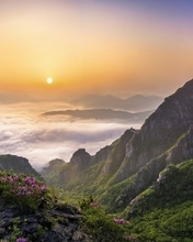 Картинка: горы, туман, облака, небо, цветы, холмы, травы