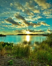 Картинка: Лето, озеро, вода, деревья, трава, зелень, облака, небо, солнце, закат
