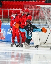 Image: hockey, bandy, match