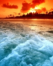 Image: Island, palm trees, water, foam, sunset