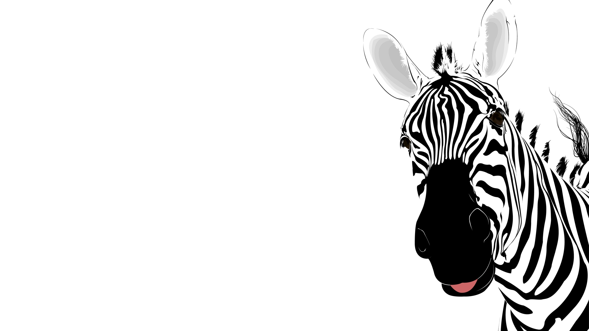 Картинка: Зебра, морда, полоски, чёрно-белое, белый фон