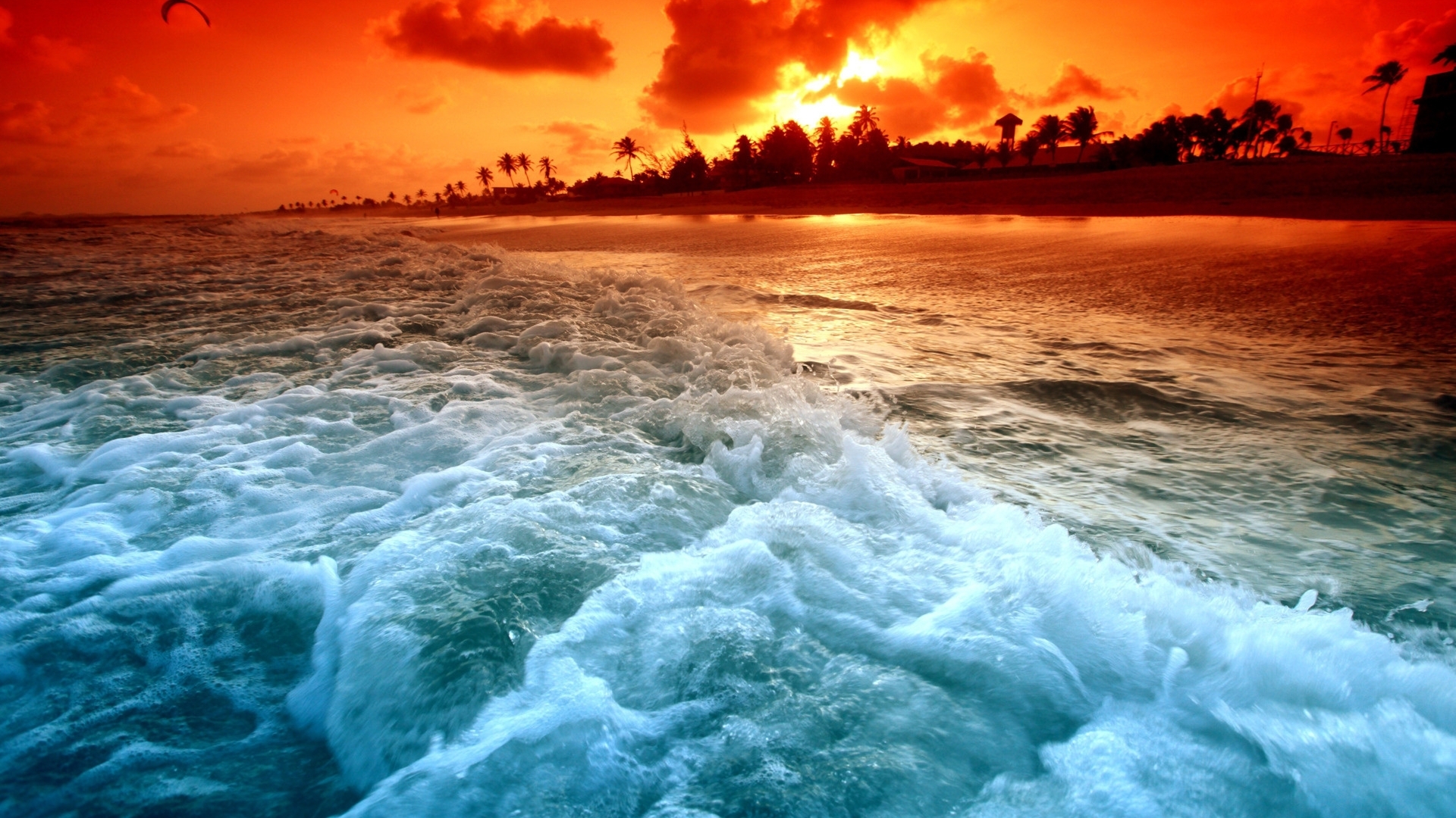 Image: Island, palm trees, water, foam, sunset