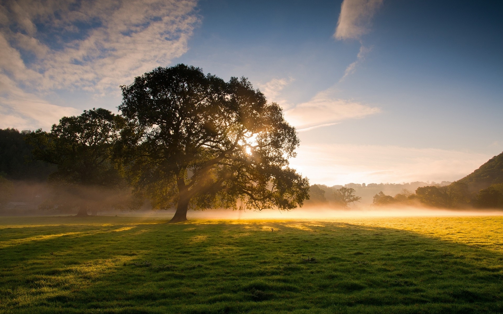 Картинка: Поле, трава, деревья, туман, свет, солнце, небо, облака