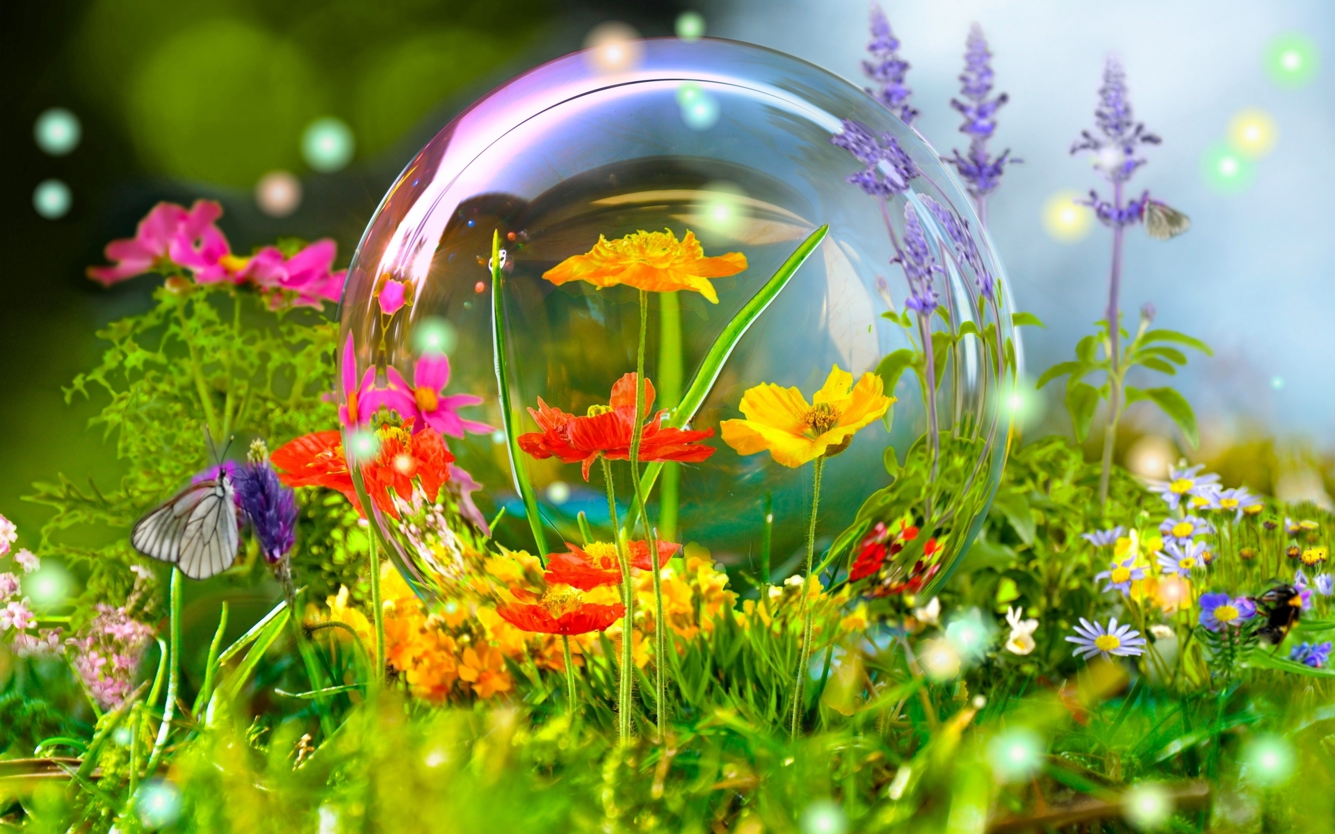 Image: Wild flowers, grass, insects, butterfly, bumblebee, bubble