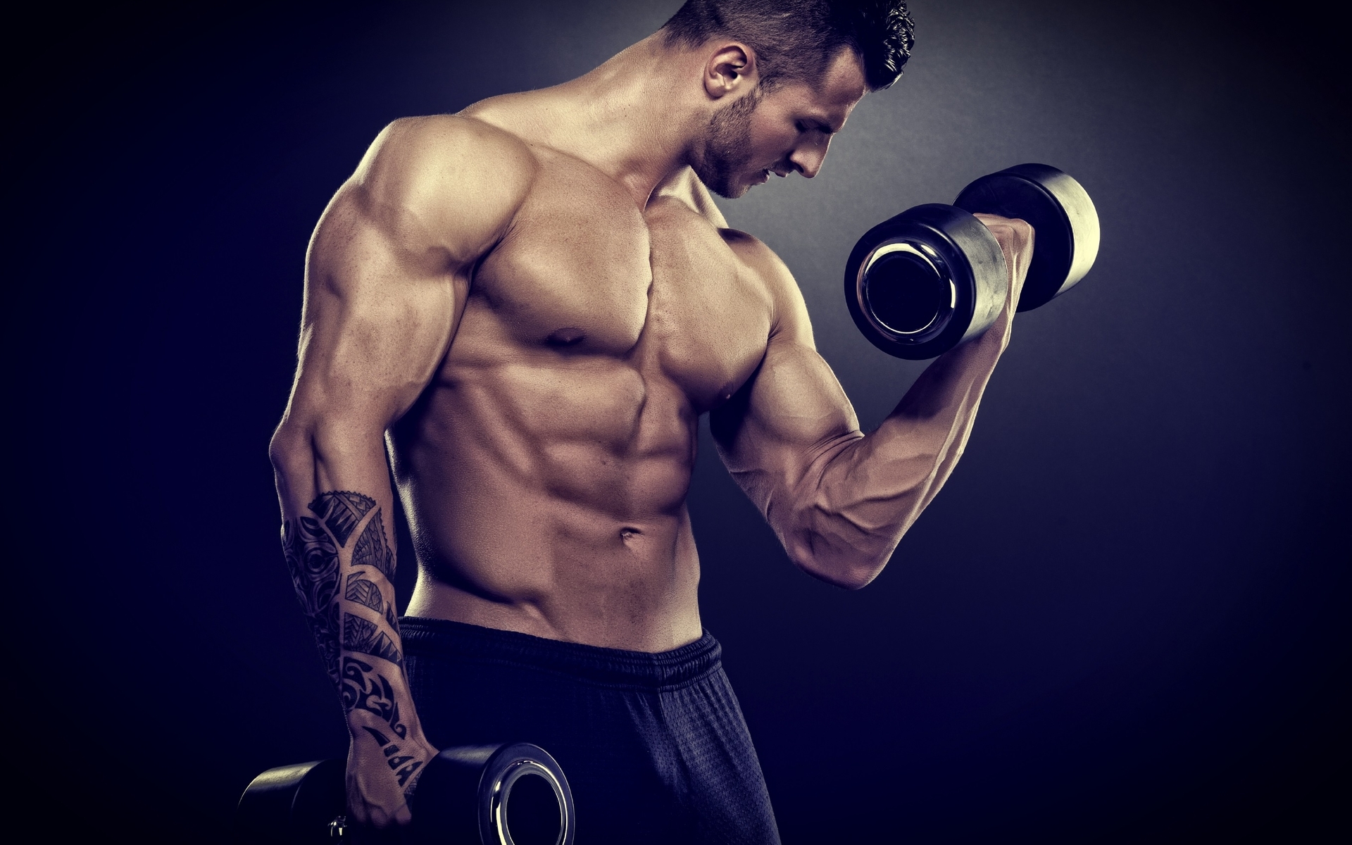 Image: Male, bodybuilder, muscle, body, tattoo, dumbbell