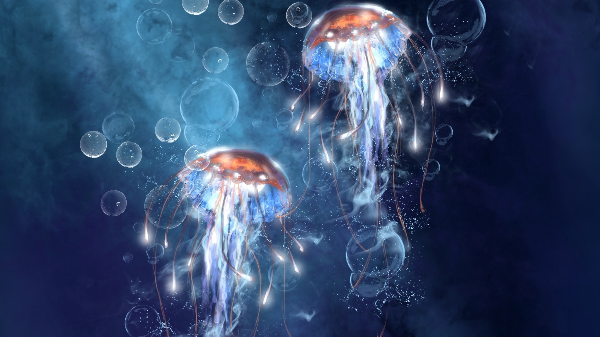 Image: Jellyfish, bubbles, tentacles