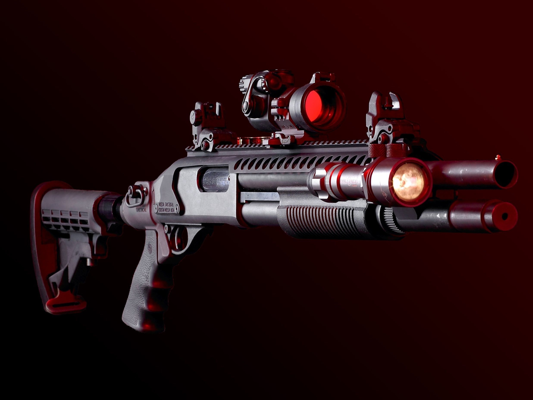 Image: Weapon, shotgun, sight, flashlight