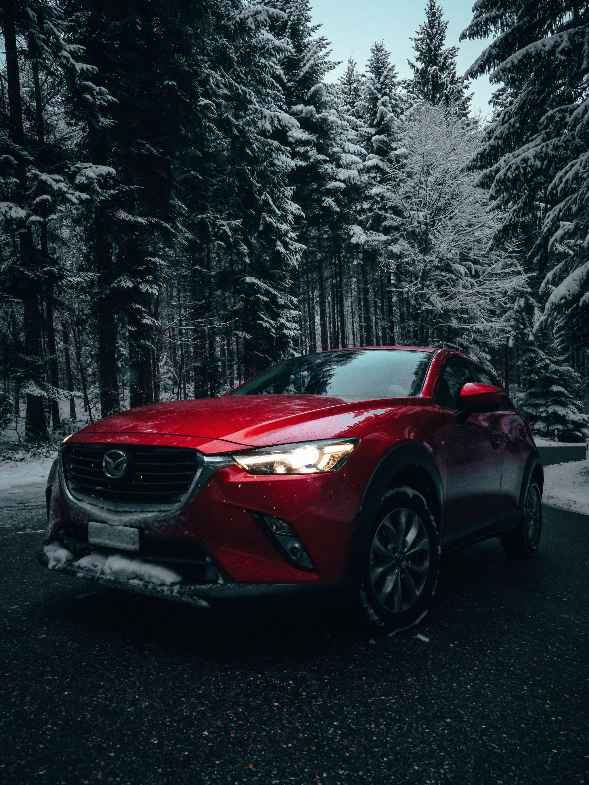 Картинка: Зима, лес, снег, дорога, деревья, автомобиль, красный, Mazda 6