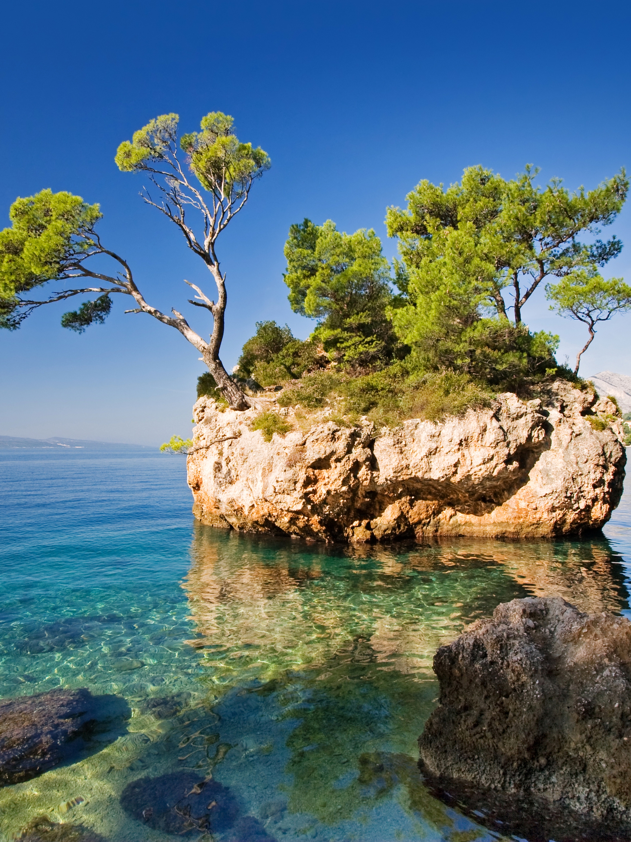 Image: Rock, trees, sea, water, stones, sky