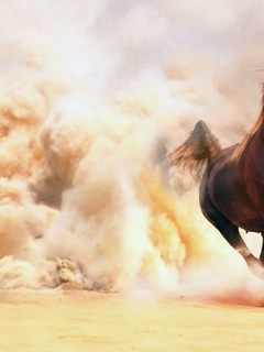 Картинка: Лошадь, скачет, пыль, песок