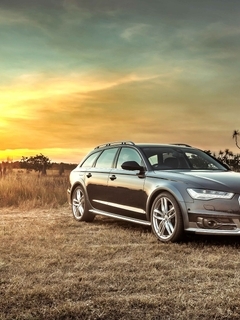 Картинка: Audi, A6, Allroad, TDI, quattro, C7, поле, трава, закат