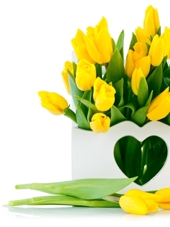 Image: Tulips, flowers, bouquet, yellow, vase, heart, white background