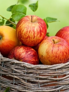 Image: Apples, fruit, harvest, basket, summer, vitamins