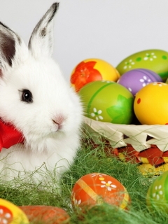 Image: Easter, decorated eggs, white rabbit, bowknot, ribbon