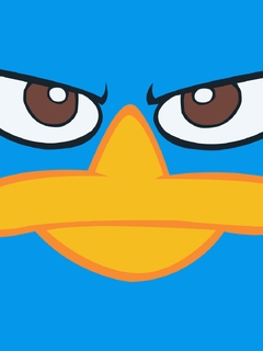 Картинка: Лицо, утконос, сердитый взгляд, голубой фон