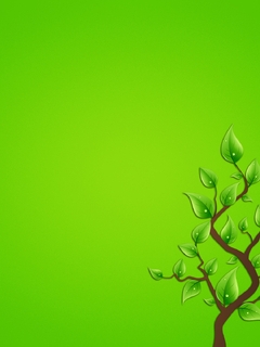 Image: Green background, tree, leaves