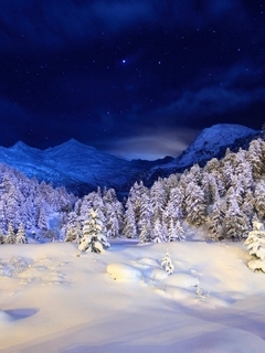 Image: Winter, snow, forest, night, sky, stars, tree, hill, mountain