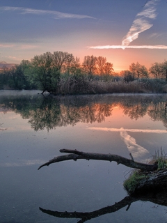 Картинка: Природа, деревья, река, озеро, рассвет