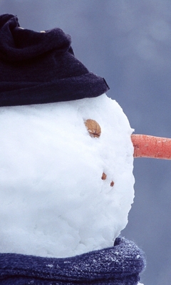 Картинка: Зима, снег, снеговик, шапка, шарф, морковка, птичка, синичка