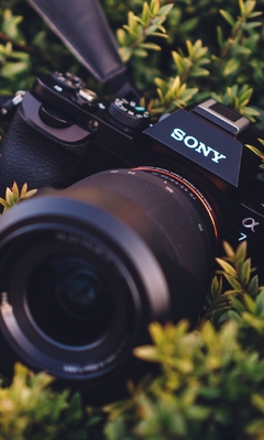 Image: Sony, A7, camera, lens, leaves, grass