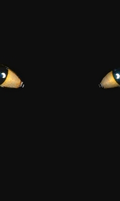 Image: Cat, eyes, black background