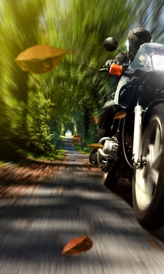 Image: Motorcycle, bike, racer, speed, foliage, trees, trail, headlight, light, blur