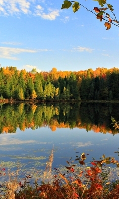 Image: Autumn, leaves, trees, water, reflection