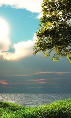 Картинка: Дерево, трава, зелень, небо, солнце, облака, вода, озеро, вечер