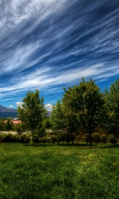 Image: Landscape, trees, greens, grass, clouds, sky, mountains