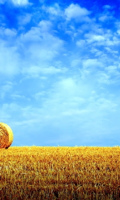 Image: hay, sky, nature