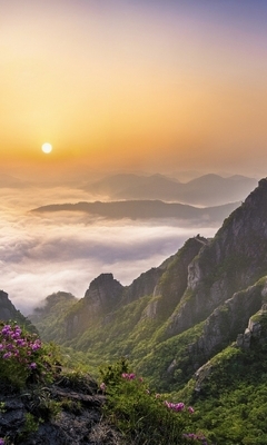 Image: Mountains, fog, clouds, sky, flowers, hills, grass