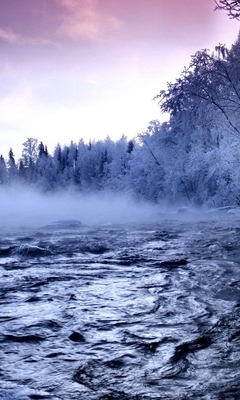 Image: river, fog, forest