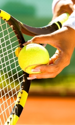 Картинка: Теннис, спорт, ракетка, мяч, подача