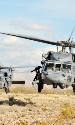 Картинка: Военный вертолёт, Sikorsky UH-60 Black Hawk, Чёрный ястреб, лопасти, летит, тень, ветки