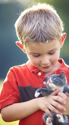 Image: Boy, kitten, keep, little, glare, bokeh