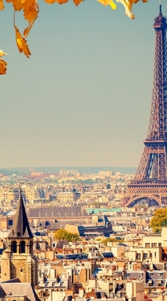Image: Paris, France, Eiffel tower, buildings, houses, sky, autumn, leaves