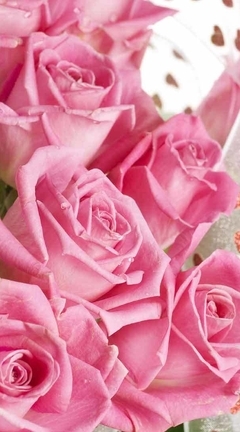 Image: Roses, bouquet, pink, petals, ribbon, hearts, romance, white background