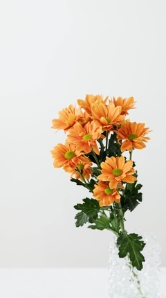 Картинка: Цветы, букет, ваза, светлый фон