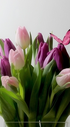 Картинка: Тюльпаны, цветы, букет, листья, бабочки