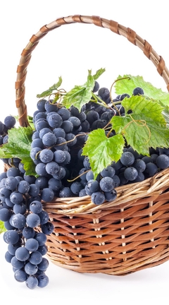 Image: Grape, vine, grapes, leaves, basket, white background