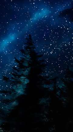 Image: nature, sky, stars, fir