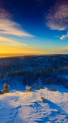 Картинка: природа, зима, снег, лес, небо, тайга