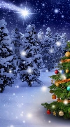 Картинка: природа, новый год, снег, елка, праздник, лес