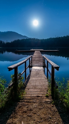 Image: Landscape, bridge, pier, railings, lake, night, light, moon, illumination, sky, stars, mountains, forest, grass, land