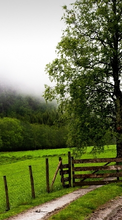 Image: Landscape, road, fence, gate, field, trees, mountains, fog, greens