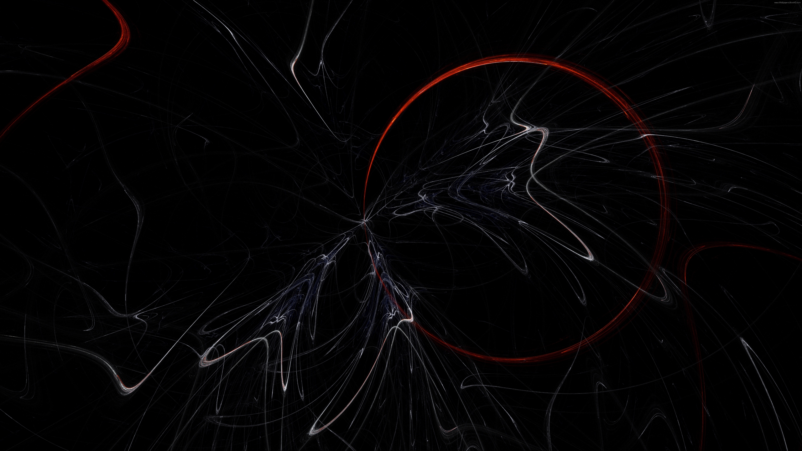 Image: Red circle, curves, plasma, black background