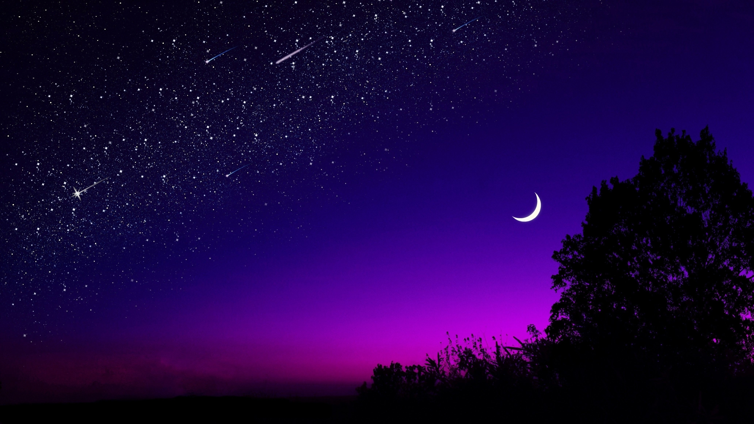 Скачать обои и картинки ночь, звёзды, луна, месяц, свет, закат, силуэт, дерево, горизонт, небо для рабочего стола в разрешении 2560x1440