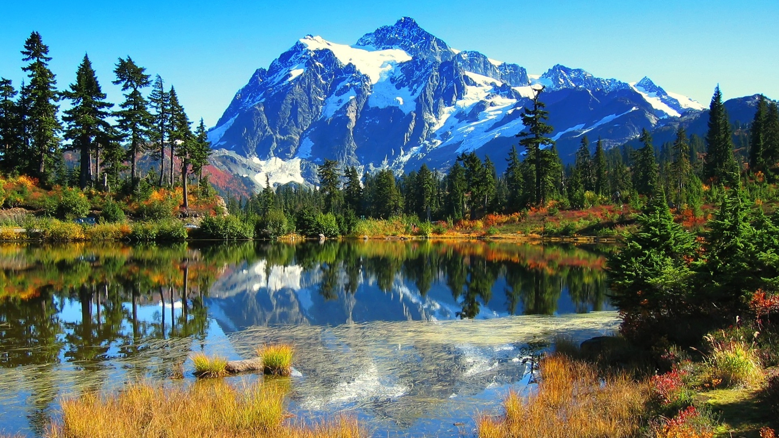 Скачать обои и картинки горы, озеро, деревья, отражение для рабочего стола  в разрешении 2560x1440